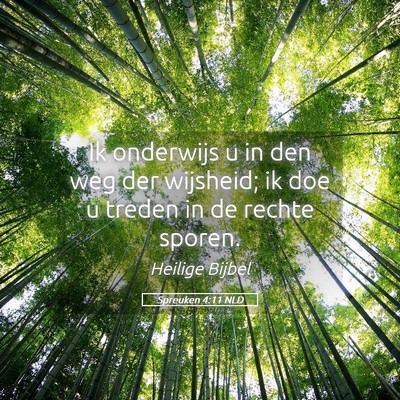 Picture 05 - Spreuken 4:11 NLD - Ik onderwijs u in den weg der wijsheid; ik doe u - Bible Verse Picture