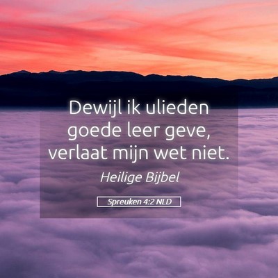 Picture 05 - Spreuken 4:2 NLD - Dewijl ik ulieden goede leer geve, verlaat mijn - Bible Verse Picture