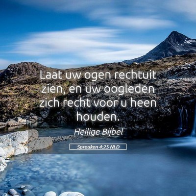 Picture 05 - Spreuken 4:25 NLD - Laat uw ogen rechtuit zien, en uw oogleden zich - Bible Verse Picture