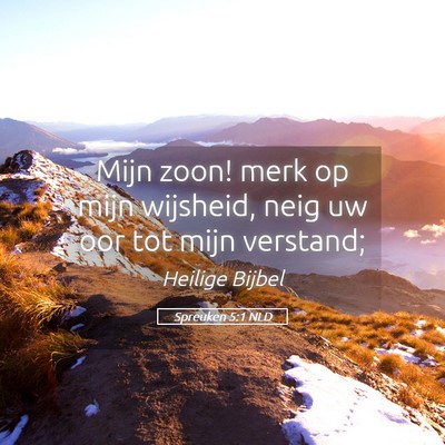 Picture 05 - Spreuken 5:1 NLD - Mijn zoon! merk op mijn wijsheid, neig uw oor tot - Bible Verse Picture