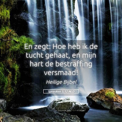Picture 05 - Spreuken 5:12 NLD - En zegt: Hoe heb ik de tucht gehaat, en mijn hart - Bible Verse Picture