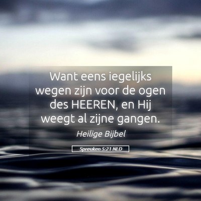 Picture 05 - Spreuken 5:21 NLD - Want eens iegelijks wegen zijn voor de ogen des - Bible Verse Picture