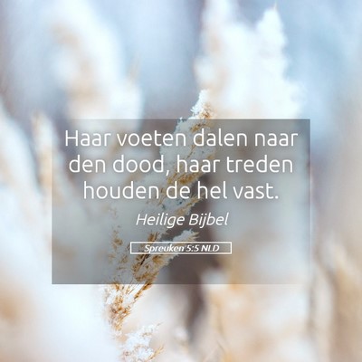 Picture 05 - Spreuken 5:5 NLD - Haar voeten dalen naar den dood, haar treden - Bible Verse Picture