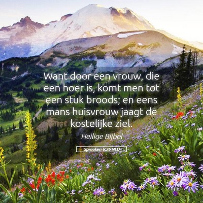 Picture 05 - Spreuken 6:26 NLD - Want door een vrouw, die een hoer is, komt men - Bible Verse Picture
