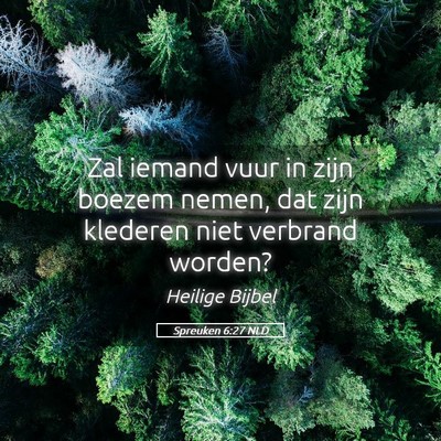 Picture 05 - Spreuken 6:27 NLD - Zal iemand vuur in zijn boezem nemen, dat zijn - Bible Verse Picture