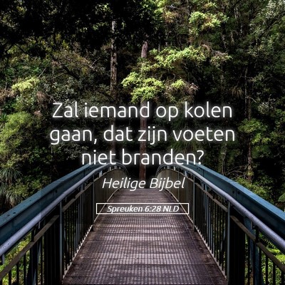 Picture 05 - Spreuken 6:28 NLD - Zal iemand op kolen gaan, dat zijn voeten niet - Bible Verse Picture