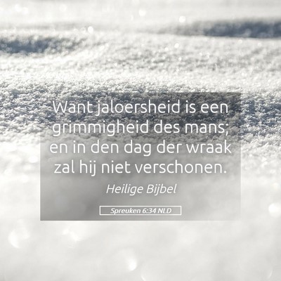 Picture 05 - Spreuken 6:34 NLD - Want jaloersheid is een grimmigheid des mans; en - Bible Verse Picture