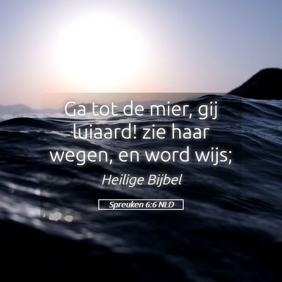Picture 05 - Spreuken 6:6 NLD - Ga tot de mier, gij luiaard! zie haar wegen, en - Bible Verse Picture