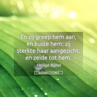 Picture 05 - Spreuken 7:13 NLD - En zij greep hem aan, en kuste hem; zij sterkte - Bible Verse Picture