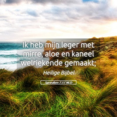 Picture 05 - Spreuken 7:17 NLD - Ik heb mijn leger met mirre, aloe en kaneel - Bible Verse Picture