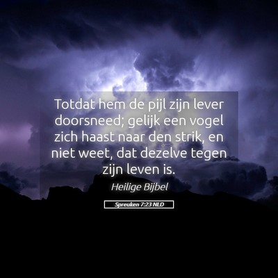 Picture 05 - Spreuken 7:23 NLD - Totdat hem de pijl zijn lever doorsneed; gelijk - Bible Verse Picture