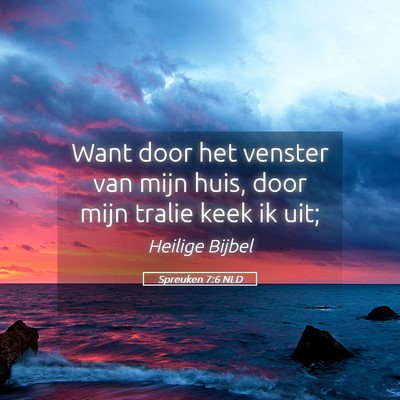 Picture 05 - Spreuken 7:6 NLD - Want door het venster van mijn huis, door mijn - Bible Verse Picture