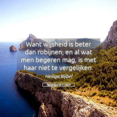 Picture 05 - Spreuken 8:11 NLD - Want wijsheid is beter dan robijnen, en al wat - Bible Verse Picture