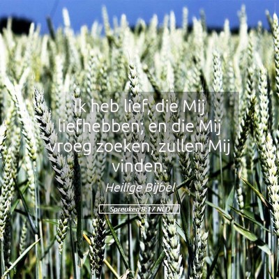 Picture 05 - Spreuken 8:17 NLD - Ik heb lief, die Mij liefhebben; en die Mij vroeg - Bible Verse Picture