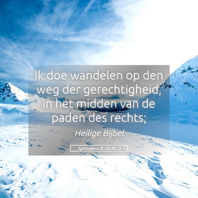Picture 05 - Spreuken 8:20 NLD - Ik doe wandelen op den weg der gerechtigheid, in - Bible Verse Picture