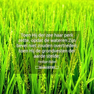 Picture 05 - Spreuken 8:29 NLD - Toen Hij der zee haar perk zette, opdat de - Bible Verse Picture