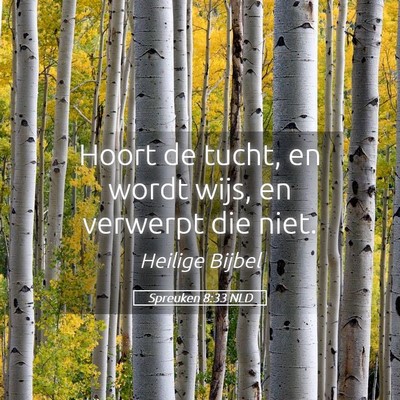 Picture 05 - Spreuken 8:33 NLD - Hoort de tucht, en wordt wijs, en verwerpt die - Bible Verse Picture