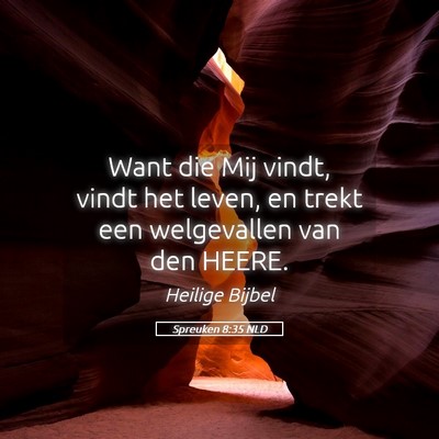 Picture 05 - Spreuken 8:35 NLD - Want die Mij vindt, vindt het leven, en trekt een - Bible Verse Picture