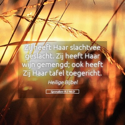 Picture 05 - Spreuken 9:2 NLD - Zij heeft Haar slachtvee geslacht. Zij heeft Haar - Bible Verse Picture