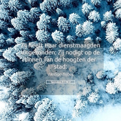 Picture 05 - Spreuken 9:3 NLD - Zij heeft Haar dienstmaagden uitgezonden; Zij - Bible Verse Picture