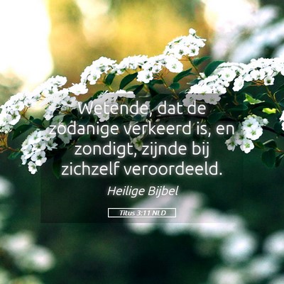 Picture 05 - Titus 3:11 NLD - Wetende, dat de zodanige verkeerd is, en zondigt, - Bible Verse Picture