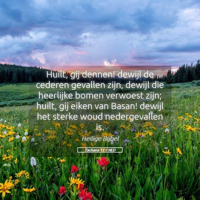 Picture 05 - Zacharia 11:2 NLD - Huilt, gij dennen! dewijl de cederen gevallen - Bible Verse Picture