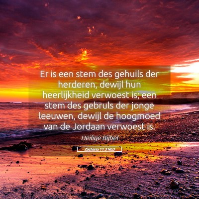 Picture 05 - Zacharia 11:3 NLD - Er is een stem des gehuils der herderen, dewijl - Bible Verse Picture