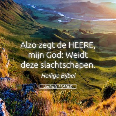 Picture 05 - Zacharia 11:4 NLD - Alzo zegt de HEERE, mijn God: Weidt deze - Bible Verse Picture