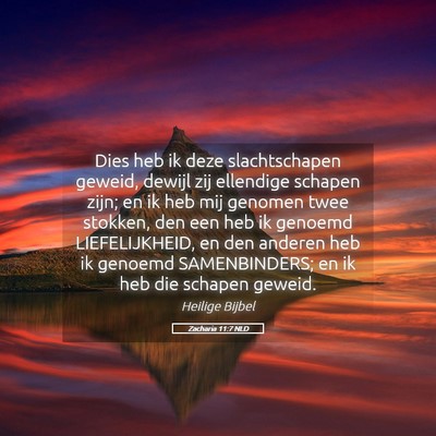 Picture 05 - Zacharia 11:7 NLD - Dies heb ik deze slachtschapen geweid, dewijl zij - Bible Verse Picture