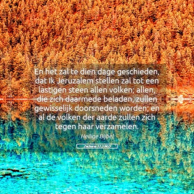 Picture 05 - Zacharia 12:3 NLD - En het zal te dien dage geschieden, dat Ik - Bible Verse Picture