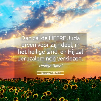 Picture 05 - Zacharia 2:12 NLD - Dan zal de HEERE Juda erven voor Zijn deel, in - Bible Verse Picture