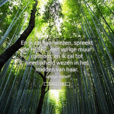 Picture 05 - Zacharia 2:5 NLD - En Ik zal haar wezen, spreekt de HEERE, een - Bible Verse Picture