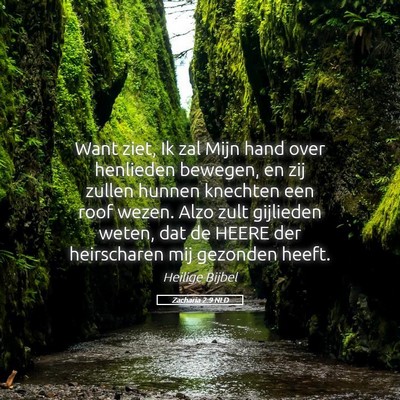 Picture 05 - Zacharia 2:9 NLD - Want ziet, Ik zal Mijn hand over henlieden - Bible Verse Picture