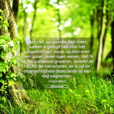 Picture 05 - Zacharia 3:9 NLD - Want ziet, aangaande dien steen, welken Ik gelegd - Bible Verse Picture