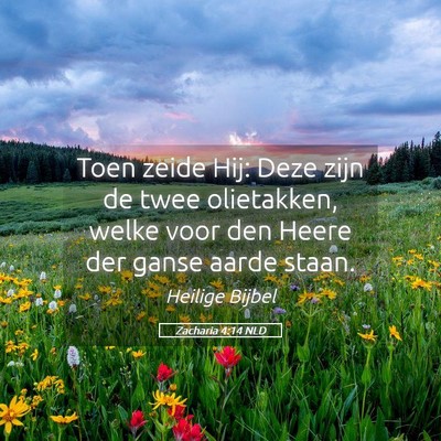 Picture 05 - Zacharia 4:14 NLD - Toen zeide Hij: Deze zijn de twee olietakken, - Bible Verse Picture