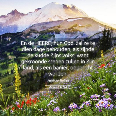 Picture 05 - Zacharia 9:16 NLD - En de HEERE, hun God, zal ze te dien dage - Bible Verse Picture