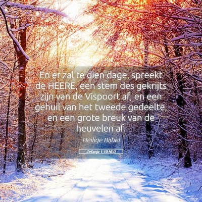 Picture 05 - Zefanja 1:10 NLD - En er zal te dien dage, spreekt de HEERE, een - Bible Verse Picture