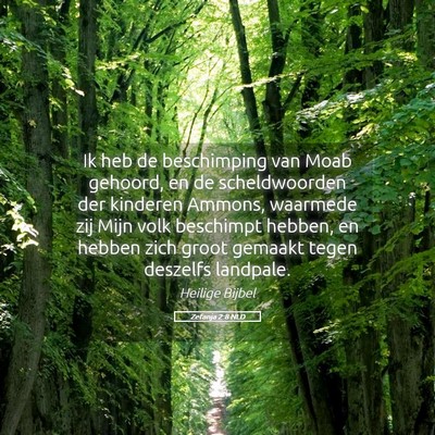 Picture 05 - Zefanja 2:8 NLD - Ik heb de beschimping van Moab gehoord, en de - Bible Verse Picture