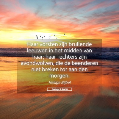 Picture 05 - Zefanja 3:3 NLD - Haar vorsten zijn brullende leeuwen in het midden - Bible Verse Picture