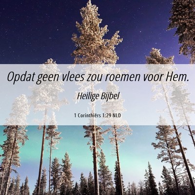 Picture 06 - 1 Corinthiërs 1:29 NLD - Opdat geen vlees zou roemen voor - Bible Verse Picture