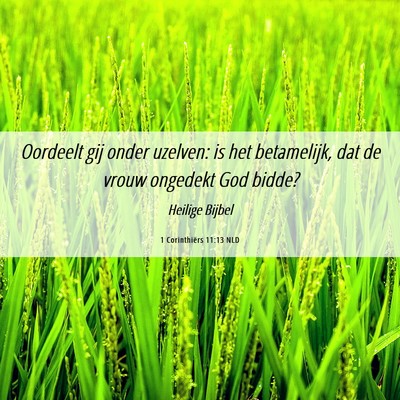 Picture 06 - 1 Corinthiërs 11:13 NLD - Oordeelt gij onder uzelven: is het betamelijk, - Bible Verse Picture