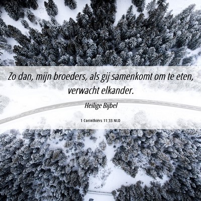 Picture 06 - 1 Corinthiërs 11:33 NLD - Zo dan, mijn broeders, als gij samenkomt om te - Bible Verse Picture