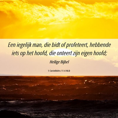 Picture 06 - 1 Corinthiërs 11:4 NLD - Een iegelijk man, die bidt of profeteert, - Bible Verse Picture