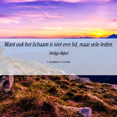 Picture 06 - 1 Corinthiërs 12:14 NLD - Want ook het lichaam is niet een lid, maar vele - Bible Verse Picture