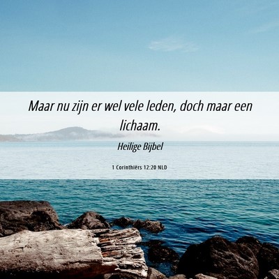 Picture 06 - 1 Corinthiërs 12:20 NLD - Maar nu zijn er wel vele leden, doch maar een - Bible Verse Picture