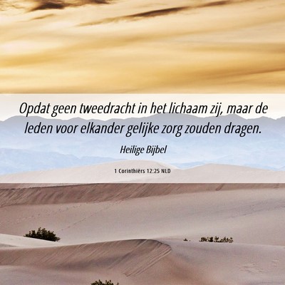 Picture 06 - 1 Corinthiërs 12:25 NLD - Opdat geen tweedracht in het lichaam zij, maar de - Bible Verse Picture
