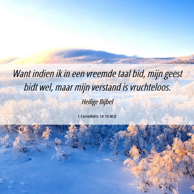 Picture 06 - 1 Corinthiërs 14:14 NLD - Want indien ik in een vreemde taal bid, mijn - Bible Verse Picture