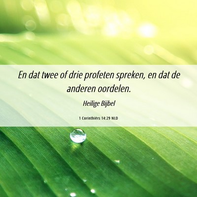 Picture 06 - 1 Corinthiërs 14:29 NLD - En dat twee of drie profeten spreken, en dat de - Bible Verse Picture