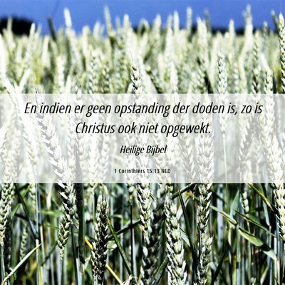Picture 06 - 1 Corinthiërs 15:13 NLD - En indien er geen opstanding der doden is, zo is - Bible Verse Picture