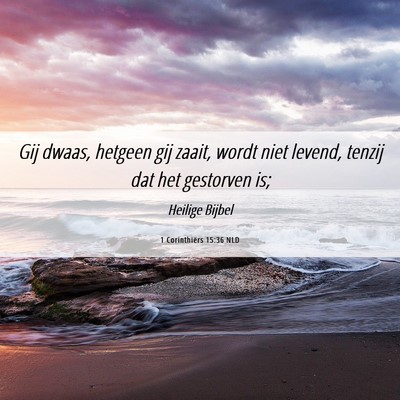 Picture 06 - 1 Corinthiërs 15:36 NLD - Gij dwaas, hetgeen gij zaait, wordt niet levend, - Bible Verse Picture